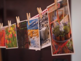 èºæ¯ï¼åæï¼æ¬æ